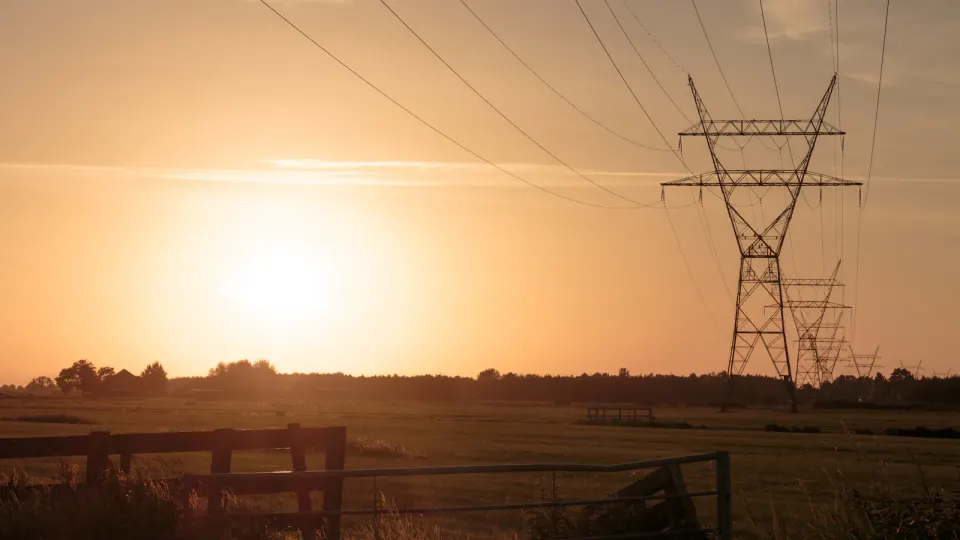 What Amsterdam's Full Power Grid Means for Servers Hosted There